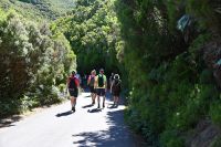 4. Tag - Madeira aktiv erleben - Wanderung im Tal von Rabacal (2)