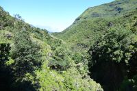 4. Tag - Madeira aktiv erleben - Wanderung im Tal von Rabacal (10)