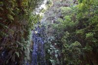 4. Tag - Madeira aktiv erleben - Wanderung im Tal von Rabacal 25 Fontes (2)