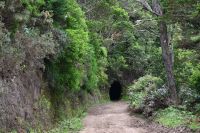 7. Tag - Madeira aktiv erleben - Wanderung Vereda das Funduras (2)