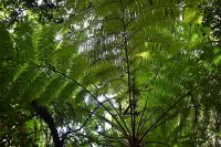 7. Tag - Madeira aktiv erleben - Wanderung Vereda das Funduras (5)