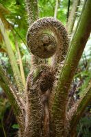 7. Tag - Madeira aktiv erleben - Wanderung Vereda das Funduras (8)