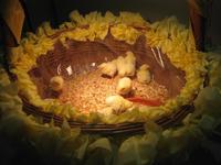 Osterküken in der Lobby unseres Hotels 