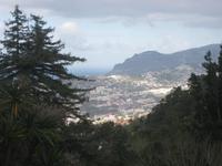 Funchal vom Palheiro Gardens aus
