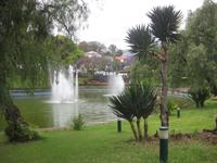 victoria-Park Funchal