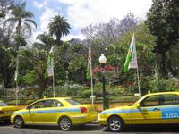 Der Stadtpark in Funchal