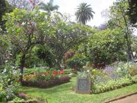 Der Stadtpark in Funchal
