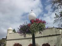 Mit Blumen geschmückte Straßenlampe