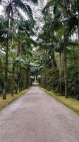Parque Terra Nostra, São Miguel Island, Povoação, Azores, Portugal