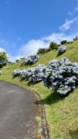 Pico do Ferro, São Miguel Island, Povoação, Azores, Portugal