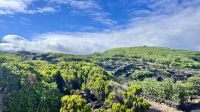 Ilha do Pico, Madalena, Azores, Portugal