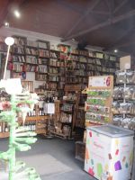 Geschäft in Obidos: Blumensamen, Eis, Bücher und Wein