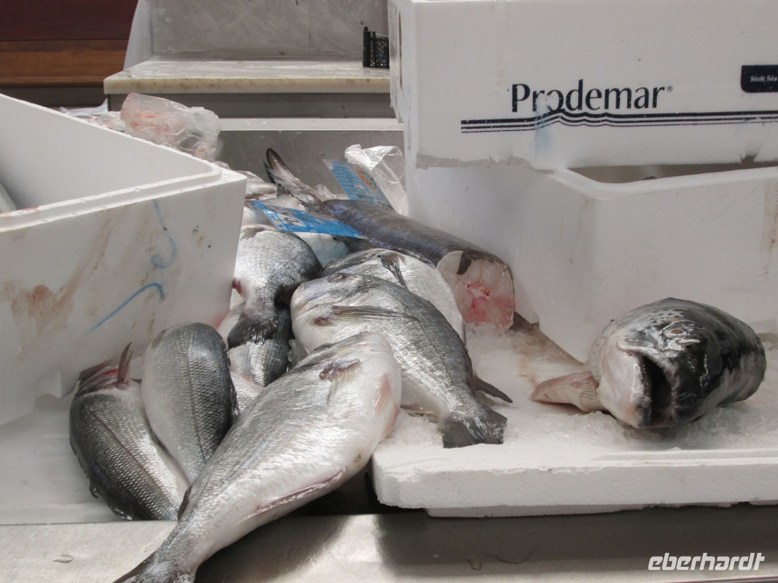 Aveiro: Fischmarkt