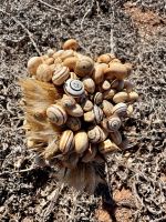 Tag 2 - Schnecken überall