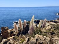 Tag 3 - Impressionen der Algarve