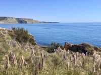 Tag 3 - Impressionen der Algarve