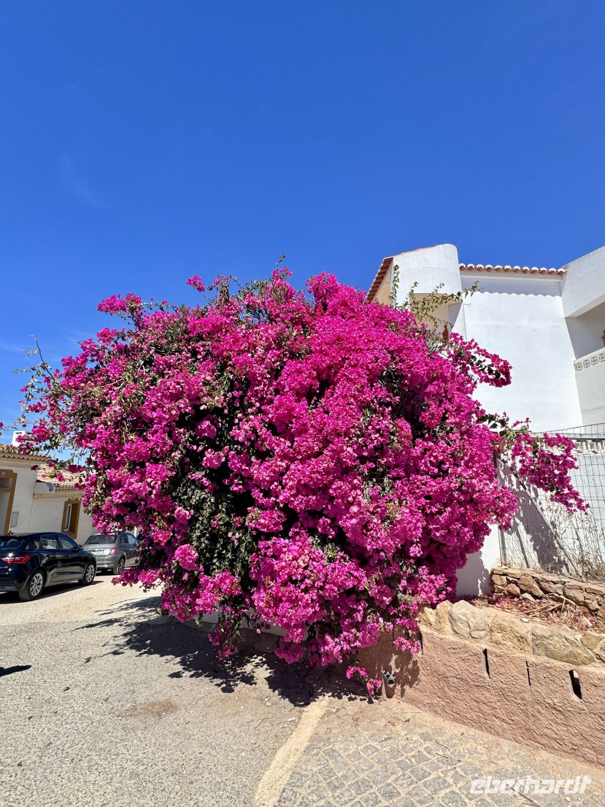 Tag 3 - Willkommen in Burgau