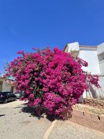 Tag 3 - Willkommen in Burgau