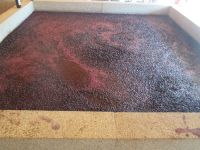 Gärung der Trauben im Granitbecken