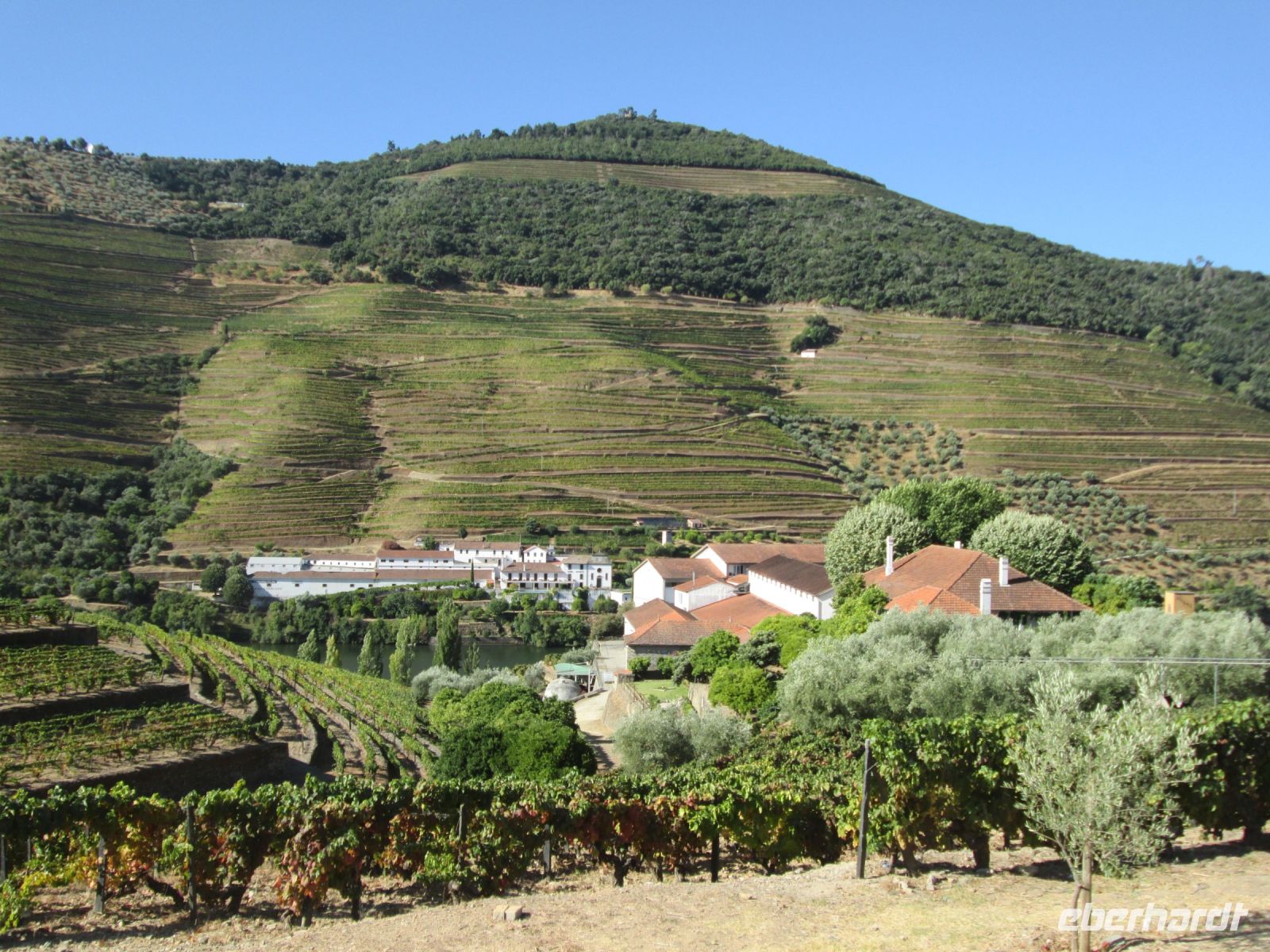 eines der vielen Douro Weingüter