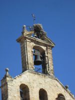 Salamanca: Storchennester von 