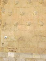 im Muschelhaus ist heute die Bibliothek