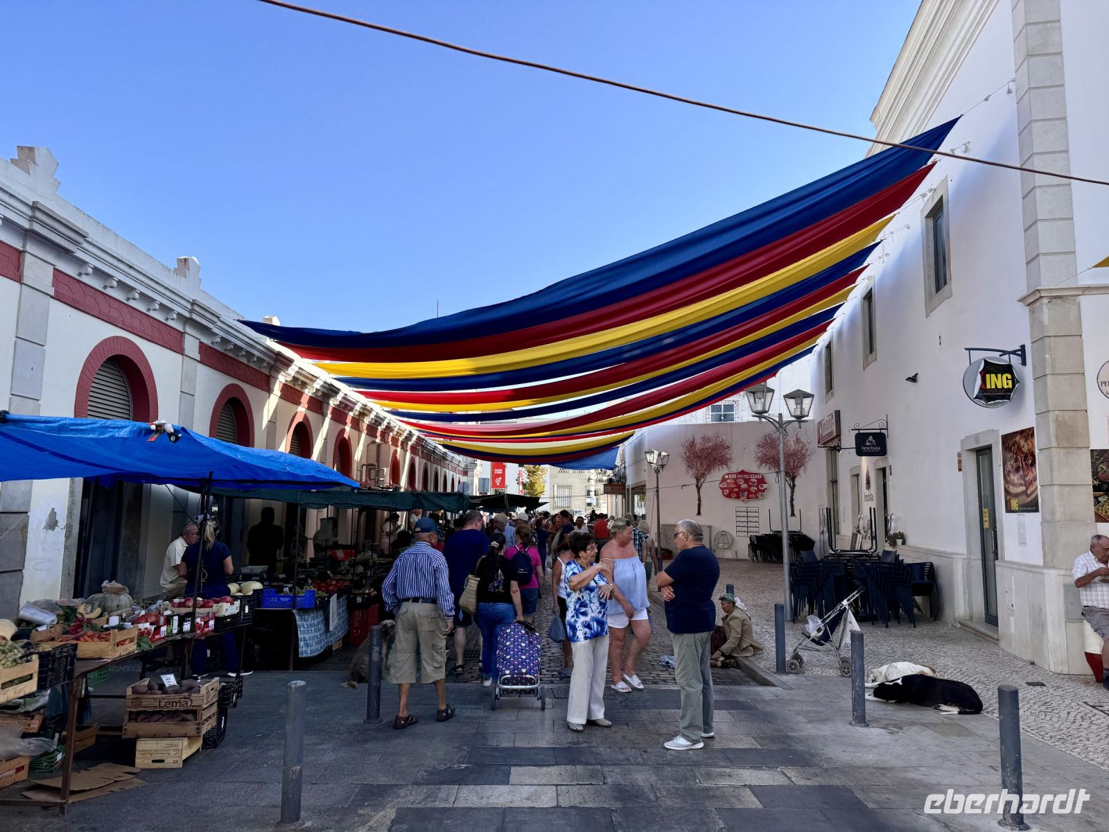 Tag 4 - Bauernmarkt Loulé