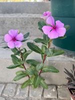 Tag 4 - Impressionen 