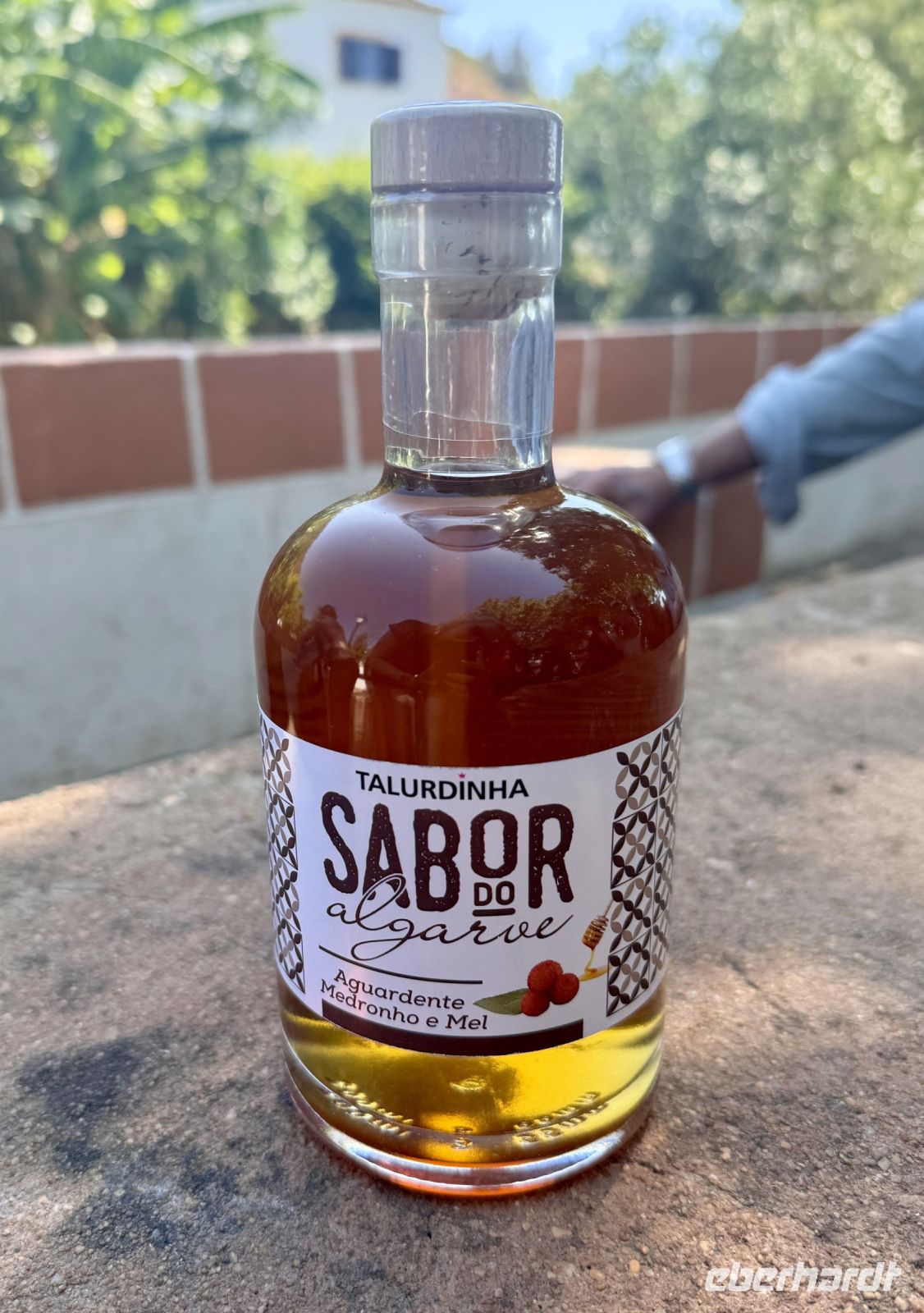 Tag 4 - Medronho-Verkostung 