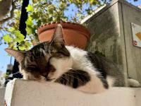 Tag 4 - Impressionen 