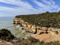 Tag 5 - Küstenwanderung