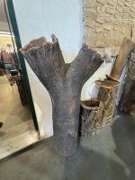 ...Korkfabrik bei Evora (1)