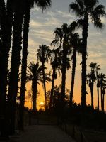 Hotel Pestana Viking (1)