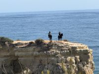 Küstenwanderung an der Algarve (1)