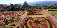 Tag 6 Blick auf Blumen Kunst im botanischen Garten Funchal 