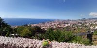 Tag 6 Panoramablick auf Funchal vom Botanischen Garten 