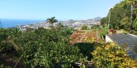 Tag 6 Aussicht auf Botanischen Garten in Funchal 