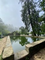 Wald von Bussaco - Park