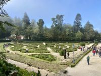 Wald von Bussaco - Park