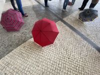 Fatima - Besichtigung im Trockenen 