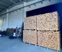 Azaruja - Korkeichenfabrik