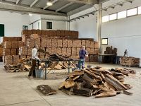 Azaruja - Korkeichenfabrik