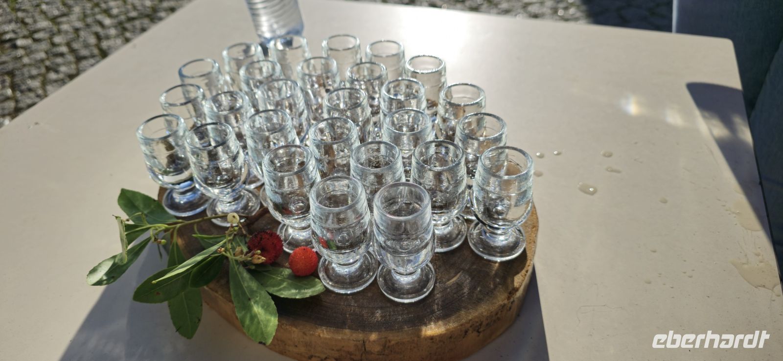 Medronho Verkostung in Parque da Mina