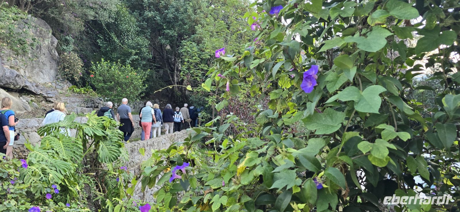 Heilquellen von Monchique