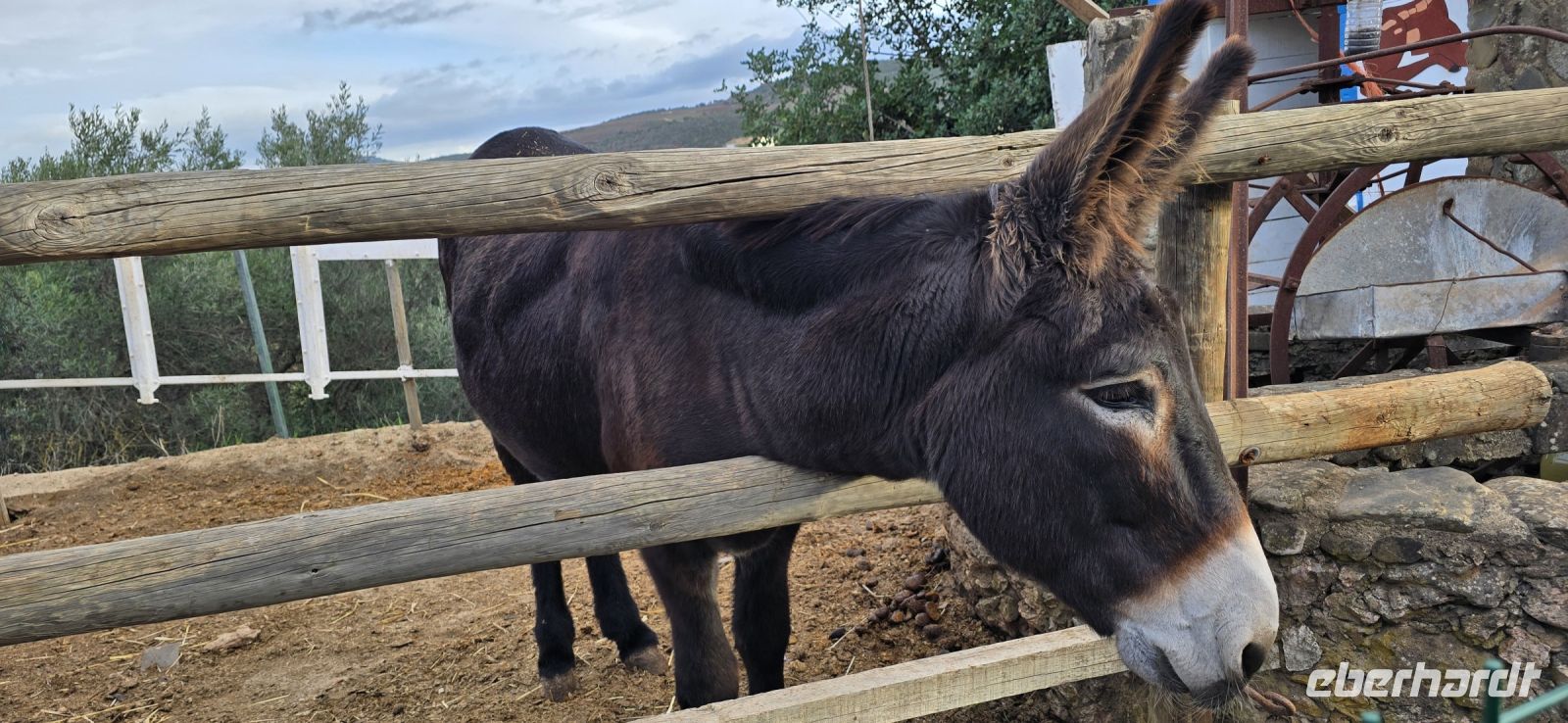 Spaziergang durch Alte