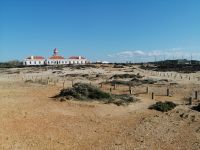 Picknick am Leuchtturm