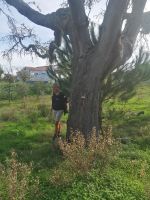 unsere Wanderführerin Larissa erzählt uns über Korkeichenwald