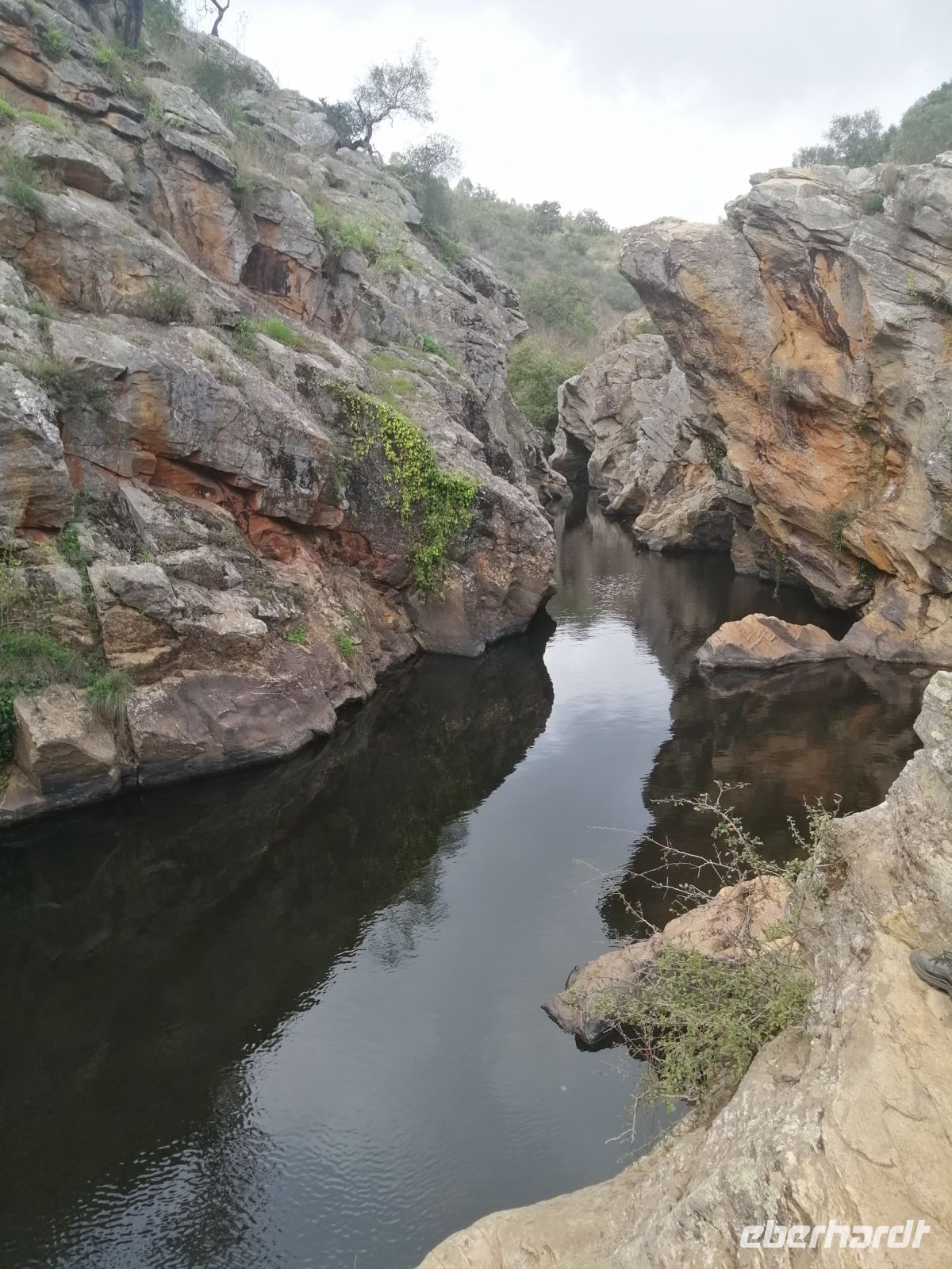 am Schildkrötensee, Pego das Pias