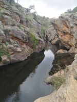 am Schildkrötensee, Pego das Pias