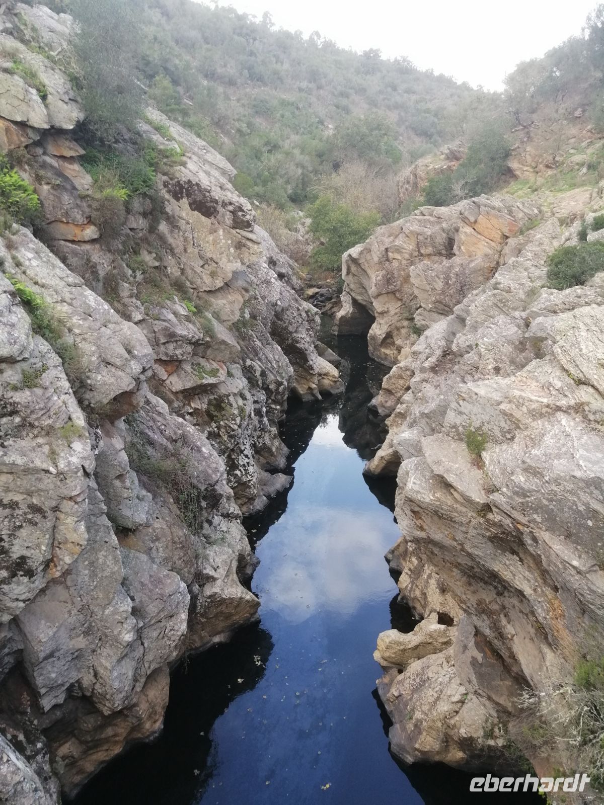 am Schildkrötensee, Pego das Pias
